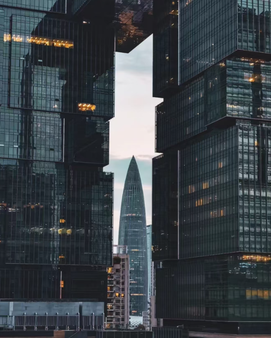 当前经济环境洞察与展望